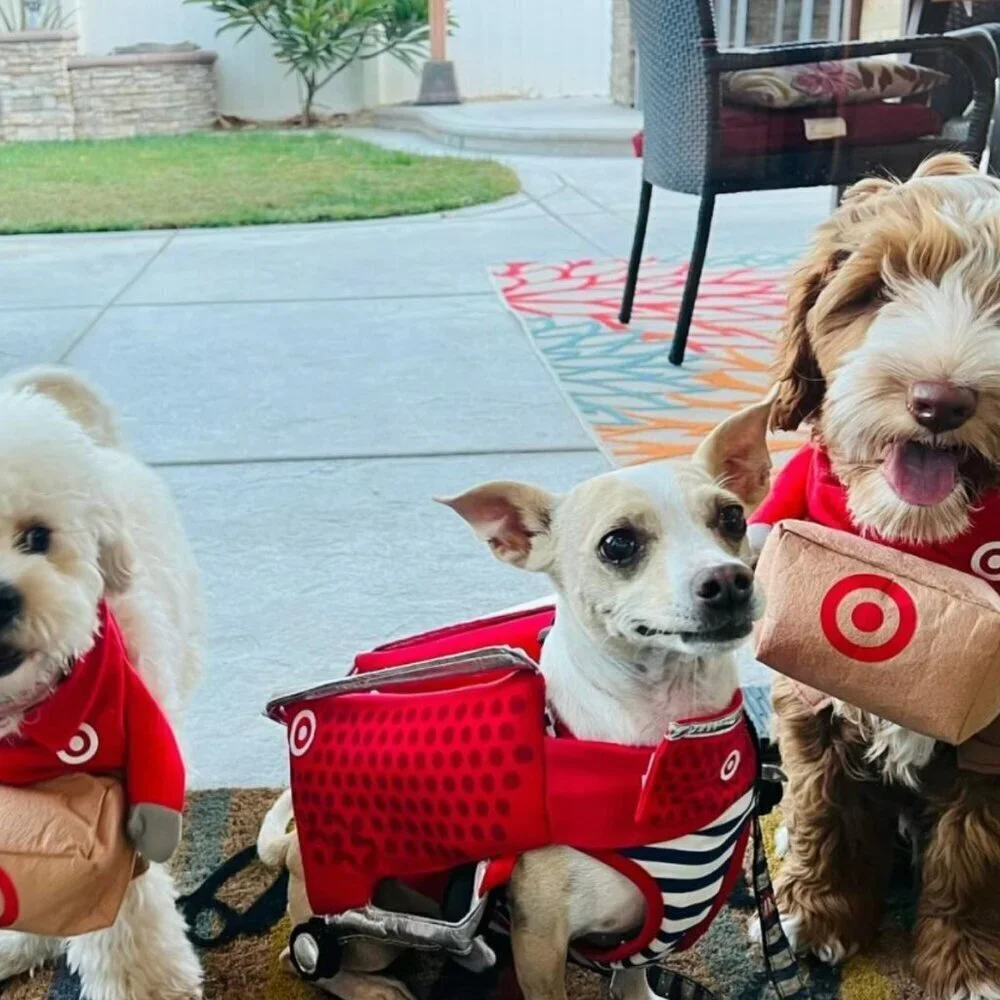 Adult Target Shopping Basket Halloween Costume + pet costume